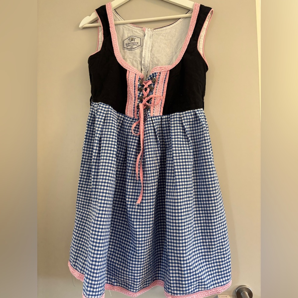 Traditional Blue Gingham Drindl Dress with Pink Trim